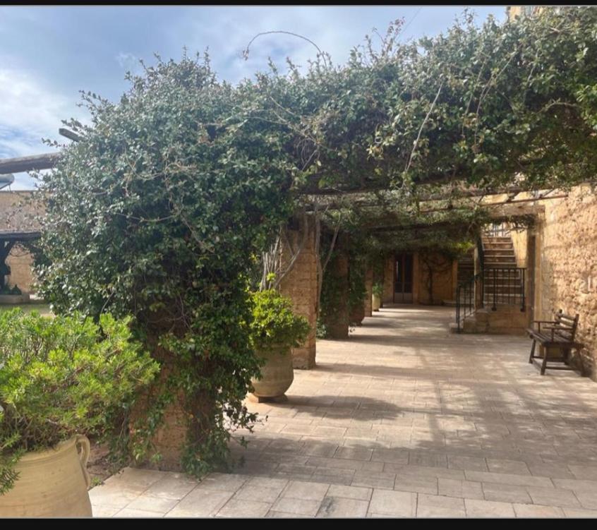 Masseria Sotto Le Stelle Provenzani Casalabate Zewnętrze zdjęcie